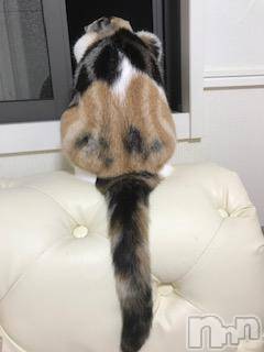 ��Ʋ����Х��顦����֥���ֲڲСݣȣ��Σ��£ɡ�(����֥ϥʥ�) �����9��29���̥�֥�����9��29�� 16��48ʬ�μ̥�֥�����