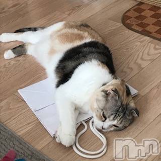 ��Ʋ����Х��顦����֥���ֲڲСݣȣ��Σ��£ɡ�(����֥ϥʥ�) �����10��1���̥�֥�����10��1�� 21��30ʬ�μ̥�֥�����