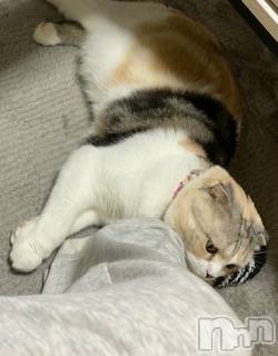 ��Ʋ����Х��顦����֥���ֲڲСݣȣ��Σ��£ɡ�(����֥ϥʥ�) �����10��7���̥�֥�����10��7�� 19��58ʬ�μ̥�֥�����