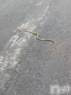 ��Ʋ����Х��顦����֥���ֲڲСݣȣ��Σ��£ɡ�(����֥ϥʥ�) �����10��9���̥�֥�����10��9�� 22��44ʬ�μ̥�֥�����