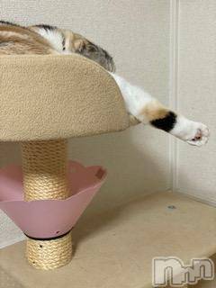 ��Ʋ����Х��顦����֥���ֲڲСݣȣ��Σ��£ɡ�(����֥ϥʥ�) �����10��12���̥�֥�����10��12�� 14��06ʬ�μ̥�֥�����