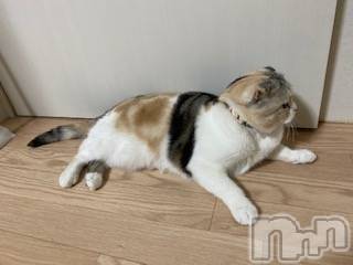 ��Ʋ����Х��顦����֥���ֲڲСݣȣ��Σ��£ɡ�(����֥ϥʥ�) �����10��14���̥�֥�����10��14�� 02��13ʬ�μ̥�֥�����