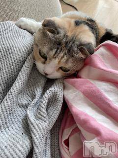 ��Ʋ����Х��顦����֥���ֲڲСݣȣ��Σ��£ɡ�(����֥ϥʥ�) �����10��19���̥�֥�����10��19�� 13��18ʬ�μ̥�֥�����