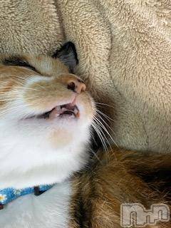 ��Ʋ����Х��顦����֥���ֲڲСݣȣ��Σ��£ɡ�(����֥ϥʥ�) �����10��20���̥�֥�����10��20�� 20��19ʬ�μ̥�֥�����