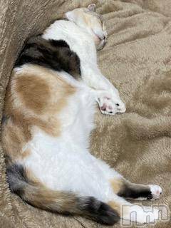 ��Ʋ����Х��顦����֥���ֲڲСݣȣ��Σ��£ɡ�(����֥ϥʥ�) �����10��21���̥�֥�����10��21�� 23��52ʬ�μ̥�֥�����