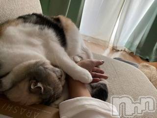 ��Ʋ����Х��顦����֥���ֲڲСݣȣ��Σ��£ɡ�(����֥ϥʥ�) �����11��13���̥�֥�����11��13�� 19��01ʬ�μ̥�֥�����