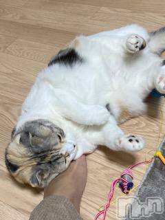 ��Ʋ����Х��顦����֥���ֲڲСݣȣ��Σ��£ɡ�(����֥ϥʥ�) �����11��20���̥�֥�����11��20�� 01��50ʬ�μ̥�֥�����