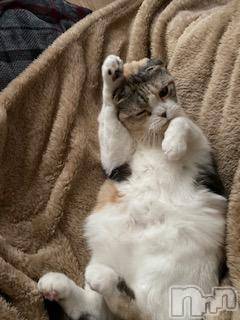 ��Ʋ����Х��顦����֥���ֲڲСݣȣ��Σ��£ɡ�(����֥ϥʥ�) �����11��29���̥�֥�����11��29�� 18��56ʬ�μ̥�֥�����