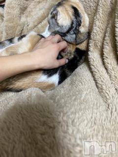 ��Ʋ����Х��顦����֥���ֲڲСݣȣ��Σ��£ɡ�(����֥ϥʥ�) �����12��12���̥�֥�����12��12�� 14��22ʬ�μ̥�֥�����