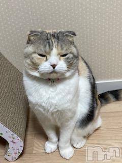 ��Ʋ����Х��顦����֥���ֲڲСݣȣ��Σ��£ɡ�(����֥ϥʥ�) �����12��18���̥�֥�����12��18�� 01��21ʬ�μ̥�֥�����