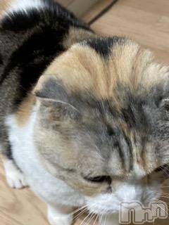 ��Ʋ����Х��顦����֥���ֲڲСݣȣ��Σ��£ɡ�(����֥ϥʥ�) �����12��25���̥�֥�����12��25�� 20��14ʬ�μ̥�֥�����