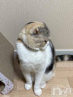 ��Ʋ����Х��顦����֥���ֲڲСݣȣ��Σ��£ɡ�(����֥ϥʥ�) �����12��27���̥�֥�����12��27�� 04��19ʬ�μ̥�֥�����