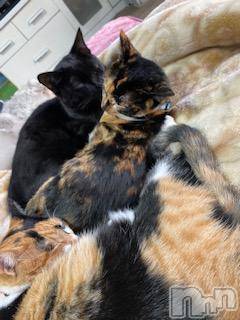 ��Ʋ����Х��顦����֥���ֲڲСݣȣ��Σ��£ɡ�(����֥ϥʥ�) �����1��4���̥�֥�����1��4�� 16��22ʬ�μ̥�֥�����