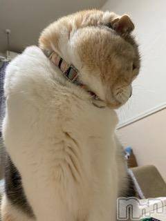 ��Ʋ����Х��顦����֥���ֲڲСݣȣ��Σ��£ɡ�(����֥ϥʥ�) �����1��6���̥�֥�����1��6�� 23��02ʬ�μ̥�֥�����