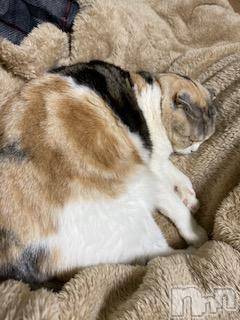 ��Ʋ����Х��顦����֥���ֲڲСݣȣ��Σ��£ɡ�(����֥ϥʥ�) �����1��17���̥�֥�����1��17�� 19��38ʬ�μ̥�֥�����