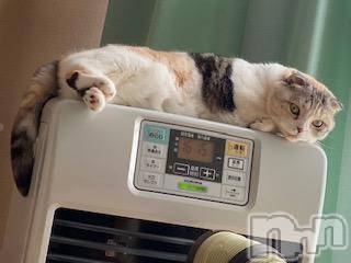 ��Ʋ����Х��顦����֥���ֲڲСݣȣ��Σ��£ɡ�(����֥ϥʥ�) �����1��27���̥�֥�����1��27�� 19��06ʬ�μ̥�֥�����