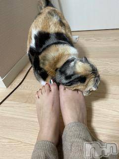 ��Ʋ����Х��顦����֥���ֲڲСݣȣ��Σ��£ɡ�(����֥ϥʥ�) �����2��5���̥�֥�����2��5�� 00��16ʬ�μ̥�֥�����