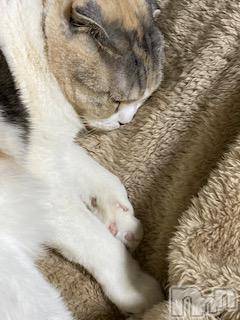 ��Ʋ����Х��顦����֥���ֲڲСݣȣ��Σ��£ɡ�(����֥ϥʥ�) �����2��22���̥�֥�����2��22�� 15��13ʬ�μ̥�֥�����