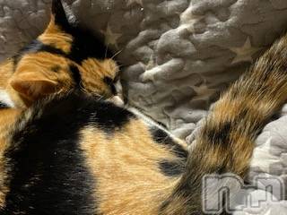 ��Ʋ����Х��顦����֥���ֲڲСݣȣ��Σ��£ɡ�(����֥ϥʥ�) �����2��23���̥�֥�����2��23�� 18��51ʬ�μ̥�֥�����