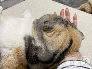 ��Ʋ����Х��顦����֥���ֲڲСݣȣ��Σ��£ɡ�(����֥ϥʥ�) �����3��23���̥�֥�����3��23�� 21��25ʬ�μ̥�֥�����