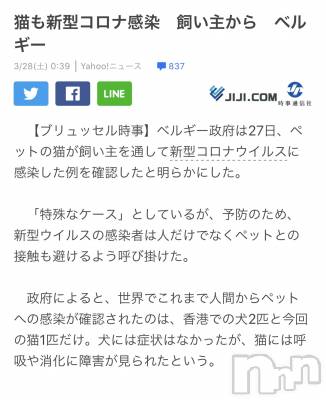 ��Ʋ����Х��顦����֥���ֲڲСݣȣ��Σ��£ɡ�(����֥ϥʥ�) �����3��28���̥�֥�����3��28�� 16��40ʬ�μ̥�֥�����