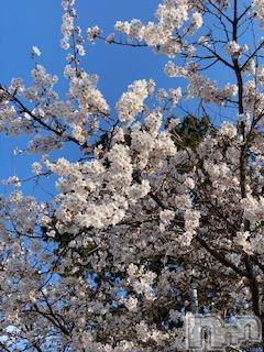 ��Ʋ����Х��顦����֥���ֲڲСݣȣ��Σ��£ɡ�(����֥ϥʥ�) �����4��6���̥�֥�����4��6�� 12��15ʬ�μ̥�֥�����