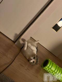 ��Ʋ����Х��顦����֥���ֲڲСݣȣ��Σ��£ɡ�(����֥ϥʥ�) �����4��16���̥�֥�����4��16�� 13��35ʬ�μ̥�֥�����