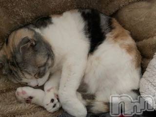 ��Ʋ����Х��顦����֥���ֲڲСݣȣ��Σ��£ɡ�(����֥ϥʥ�) �����4��19���̥�֥�����4��19�� 09��23ʬ�μ̥�֥�����