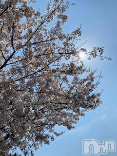 ��Ʋ����Х��顦����֥���ֲڲСݣȣ��Σ��£ɡ�(����֥ϥʥ�) �����4��21���̥�֥�����4��21�� 12��25ʬ�μ̥�֥�����