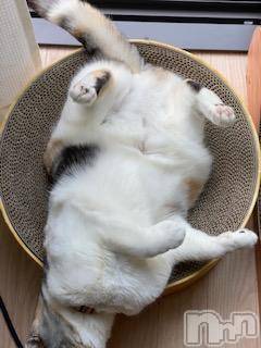 ��Ʋ����Х��顦����֥���ֲڲСݣȣ��Σ��£ɡ�(����֥ϥʥ�) �����4��30���̥�֥�����4��30�� 15��00ʬ�μ̥�֥�����