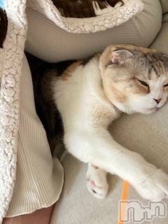 ��Ʋ����Х��顦����֥���ֲڲСݣȣ��Σ��£ɡ�(����֥ϥʥ�) �����5��11���̥�֥�����5��11�� 13��04ʬ�μ̥�֥�����