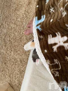 ��Ʋ����Х��顦����֥���ֲڲСݣȣ��Σ��£ɡ�(����֥ϥʥ�) �����5��13���̥�֥�����5��13�� 13��31ʬ�μ̥�֥�����