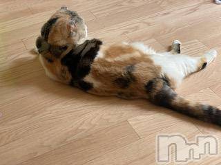 ��Ʋ����Х��顦����֥���ֲڲСݣȣ��Σ��£ɡ�(����֥ϥʥ�) �����5��25���̥�֥�����5��25�� 21��01ʬ�μ̥�֥�����