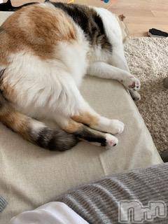 ��Ʋ����Х��顦����֥���ֲڲСݣȣ��Σ��£ɡ�(����֥ϥʥ�) �����5��26���̥�֥�����5��26�� 15��16ʬ�μ̥�֥�����