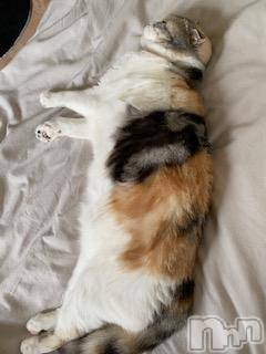 ��Ʋ����Х��顦����֥���ֲڲСݣȣ��Σ��£ɡ�(����֥ϥʥ�) �����6��17���̥�֥�����6��17�� 14��43ʬ�μ̥�֥�����