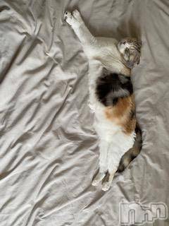 ��Ʋ����Х��顦����֥���ֲڲСݣȣ��Σ��£ɡ�(����֥ϥʥ�) �����6��18���̥�֥�����6��18�� 14��26ʬ�μ̥�֥�����