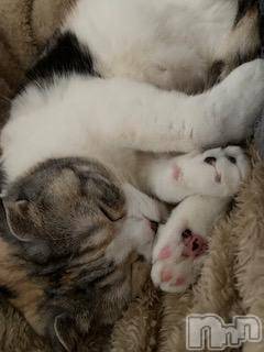 ��Ʋ����Х��顦����֥���ֲڲСݣȣ��Σ��£ɡ�(����֥ϥʥ�) �����6��21���̥�֥�����6��21�� 00��33ʬ�μ̥�֥�����