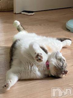 ��Ʋ����Х��顦����֥���ֲڲСݣȣ��Σ��£ɡ�(����֥ϥʥ�) �����6��23���̥�֥�����6��23�� 16��08ʬ�μ̥�֥�����