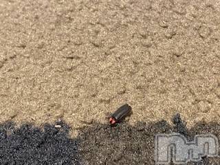 ��Ʋ����Х��顦����֥���ֲڲСݣȣ��Σ��£ɡ�(����֥ϥʥ�) �����6��29���̥�֥�����6��29�� 20��18ʬ�μ̥�֥�����