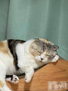 ��Ʋ����Х��顦����֥���ֲڲСݣȣ��Σ��£ɡ�(����֥ϥʥ�) �����8��5���̥�֥�����8��5�� 23��11ʬ�μ̥�֥�����