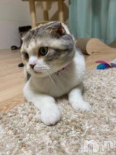 ��Ʋ����Х��顦����֥���ֲڲСݣȣ��Σ��£ɡ�(����֥ϥʥ�) �����8��26���̥�֥�����8��26�� 17��25ʬ�μ̥�֥�����