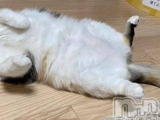 ��Ʋ����Х��顦����֥���ֲڲСݣȣ��Σ��£ɡ�(����֥ϥʥ�) �����9��5���̥�֥�����9��5�� 11��35ʬ�μ̥�֥�����