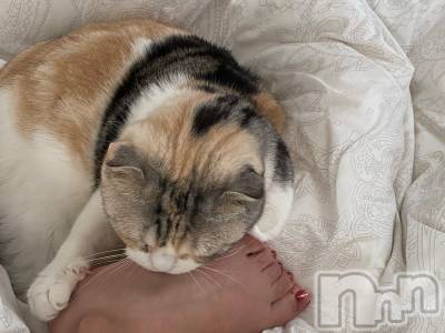 ��Ʋ����Х��顦����֥���ֲڲСݣȣ��Σ��£ɡ�(����֥ϥʥ�) �����10��14���̥�֥�����10��14�� 13��00ʬ�μ̥�֥�����