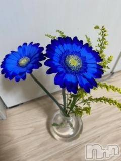 ��Ʋ����Х��顦����֥���ֲڲСݣȣ��Σ��£ɡ�(����֥ϥʥ�) �����10��28���̥�֥�����10��28�� 23��45ʬ�μ̥�֥�����