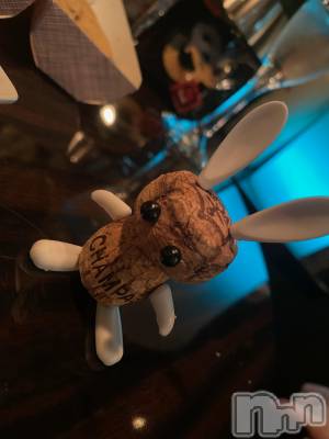 ��Ʋ����Х��顦����֥���ֲڲСݣȣ��Σ��£ɡ�(����֥ϥʥ�) �����11��30���̥�֥�����11��30�� 17��41ʬ�μ̥�֥�����