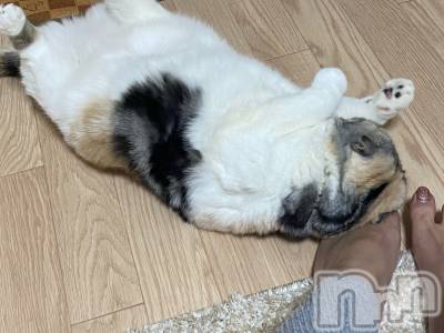 ��Ʋ����Х��顦����֥���ֲڲСݣȣ��Σ��£ɡ�(����֥ϥʥ�) �����12��7���̥�֥�����12��7�� 16��00ʬ�μ̥�֥�����