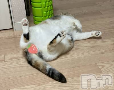 ��Ʋ����Х��顦����֥���ֲڲСݣȣ��Σ��£ɡ�(����֥ϥʥ�) �����12��15���̥�֥�����12��15�� 21��23ʬ�μ̥�֥�����