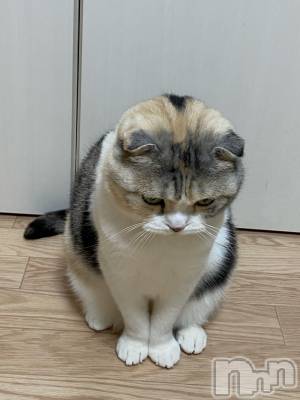 ��Ʋ����Х��顦����֥���ֲڲСݣȣ��Σ��£ɡ�(����֥ϥʥ�) �����12��23���̥�֥�����12��23�� 20��15ʬ�μ̥�֥�����