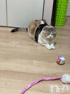 ��Ʋ����Х��顦����֥���ֲڲСݣȣ��Σ��£ɡ�(����֥ϥʥ�) �����1��8���̥�֥�����1��8�� 00��48ʬ�μ̥�֥�����