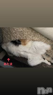 ��Ʋ����Х��顦����֥���ֲڲСݣȣ��Σ��£ɡ�(����֥ϥʥ�) �����1��9���̥�֥�����1��9�� 15��50ʬ�μ̥�֥�����